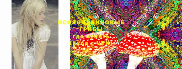 стафф Куйбышев