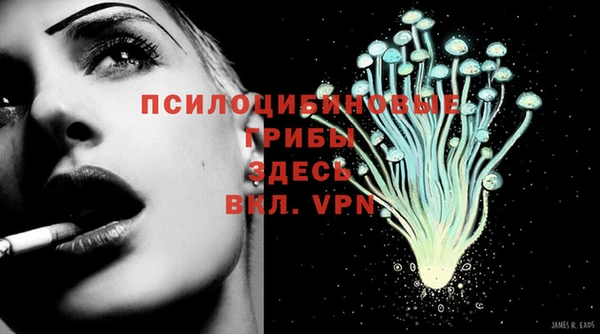 a pvp Кукмор